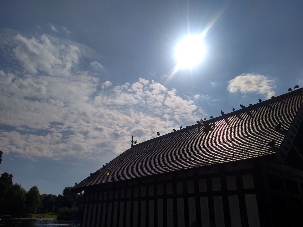 Shooting straight into the sun with an affordable phone? Not a bad result at all.