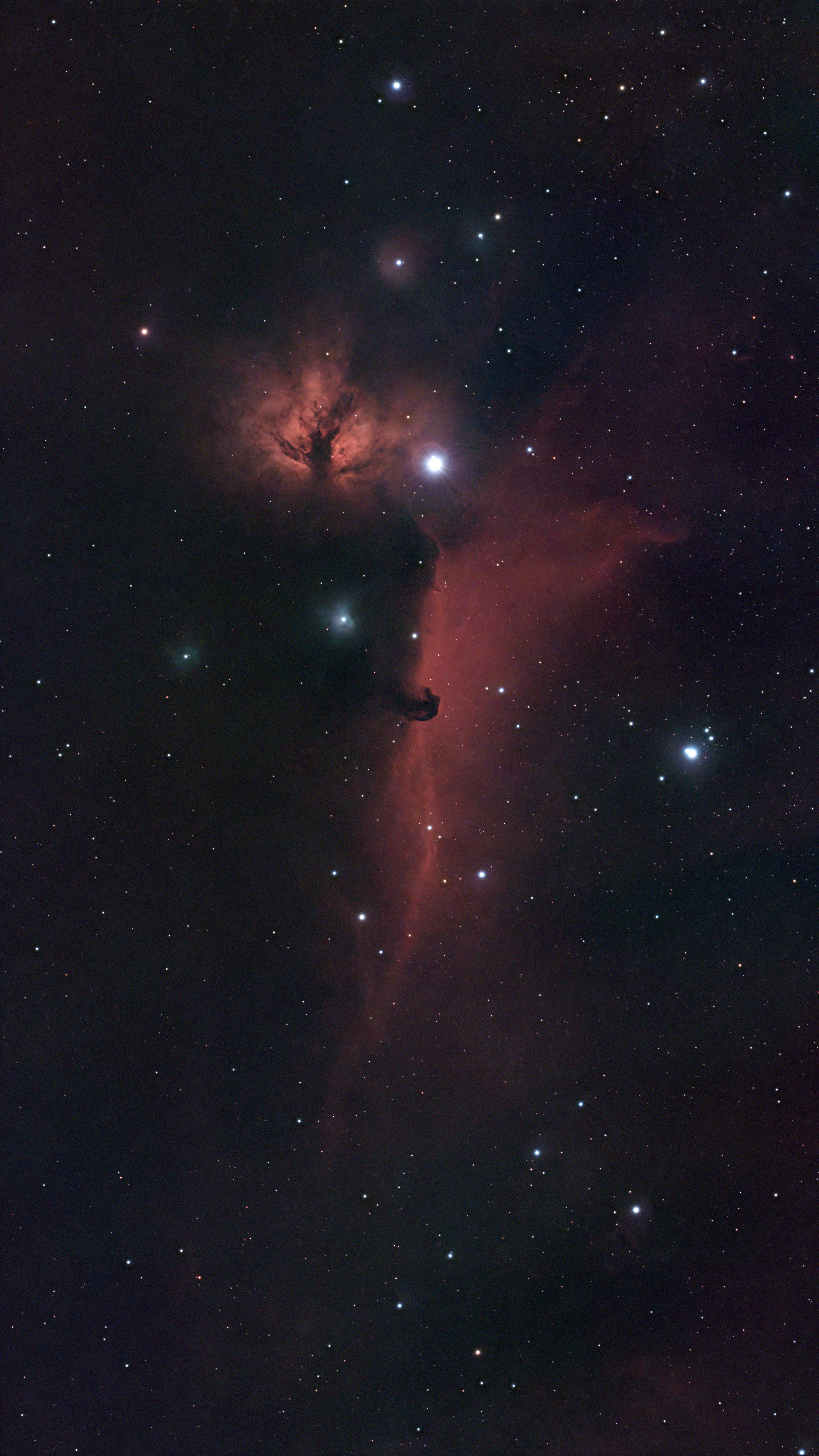 IC 434, the Horsehead Nebula, and NGC 2024, the Flame Nebula, shot with the ZWO Seestar S30 Pro smart telescope and processed using Siril and Pixinsight