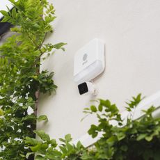 hive homeshield front camera on wall with climbing plant