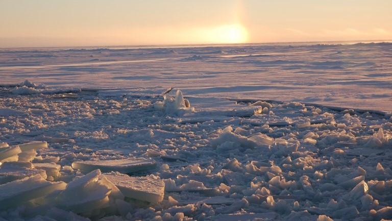 Jūros ledas į šiaurę nuo Kanados Arkties salyno.  Nuotrauka daryta prie pat numatytos paskutinės ledo zonos, kuri per stora, kad laivų ledlaužiai galėtų prasibrauti.