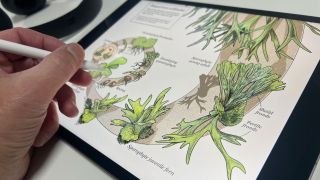 iPad Air M4