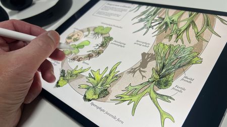 iPad Air M4