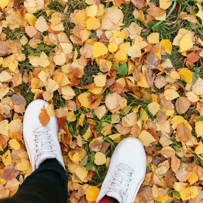 White sneakers on fallen autumn leaves