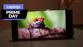 Pixel 6 pro screen with image of frog on a leaf