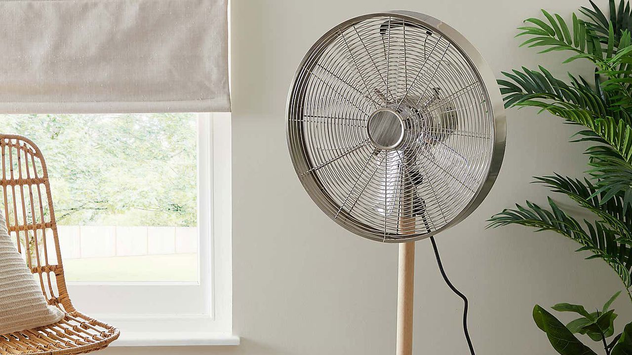 Elements 16&quot; Chrome Pedestal Modern Fan in living room inbetween plant and rattan chair