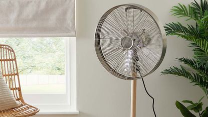 Elements 16" Chrome Pedestal Modern Fan in living room inbetween plant and rattan chair