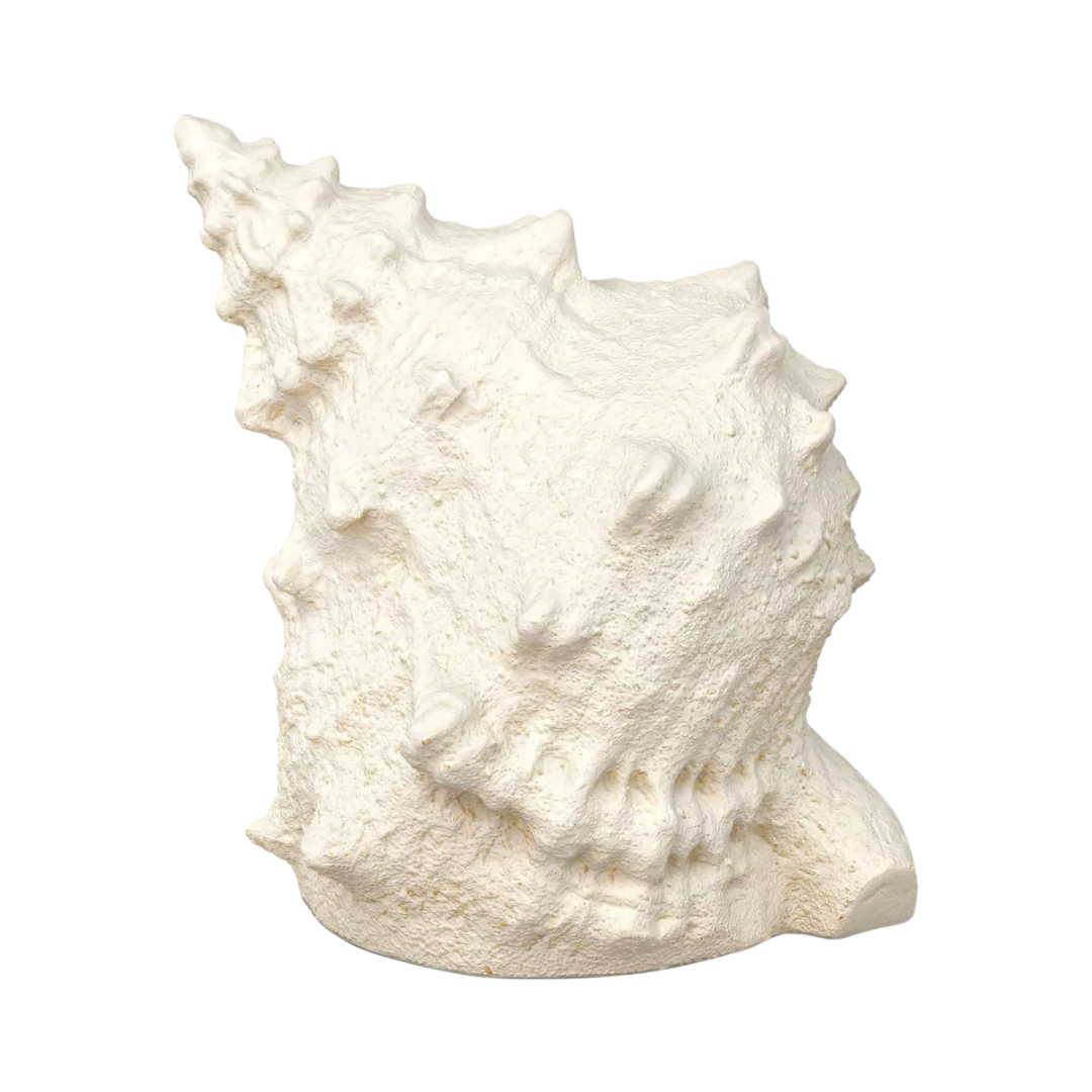 Rechargeable Battery Outdoor Patio Shell Accent Table Lamp White - Threshold&amp;trade; Designed With Studio Mcgee