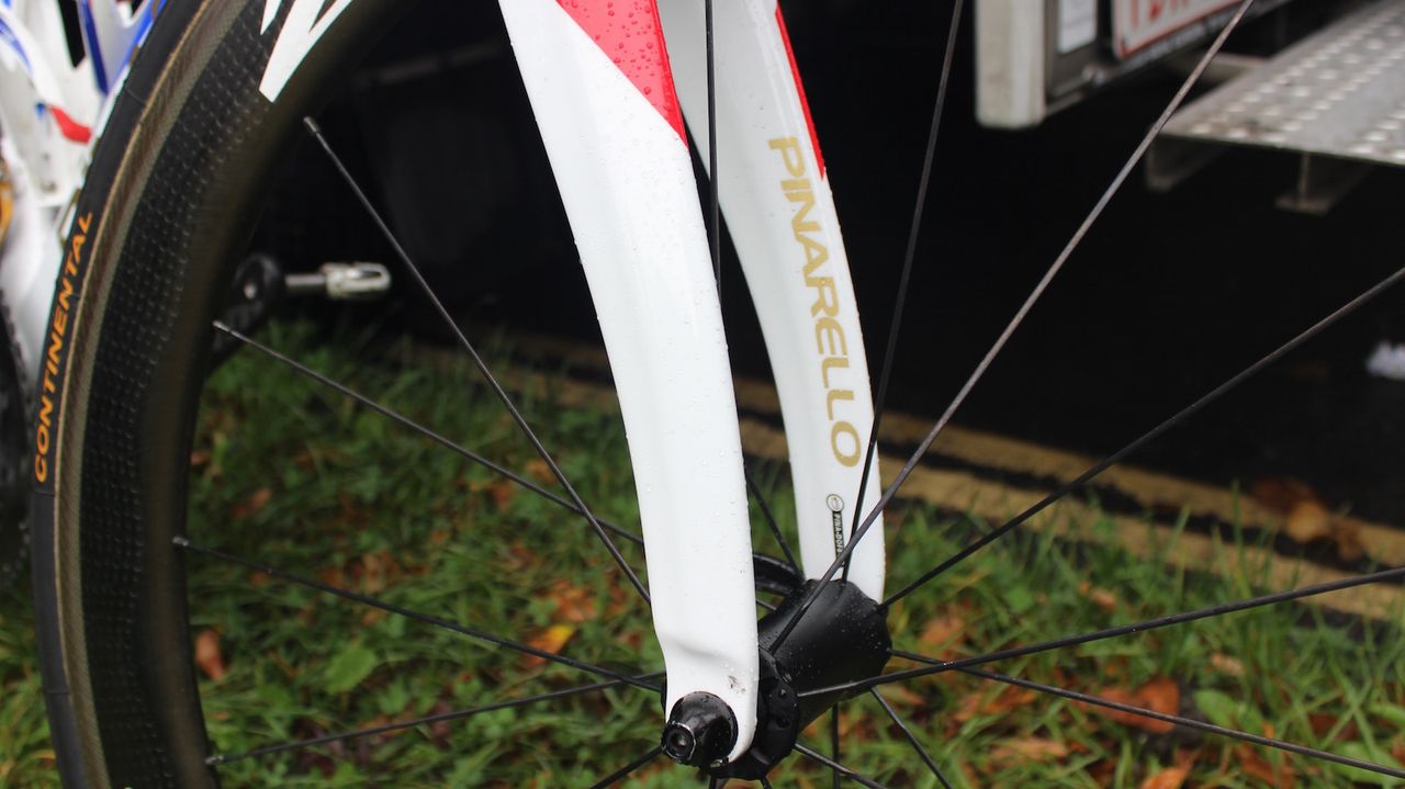 Gold decals on the forks