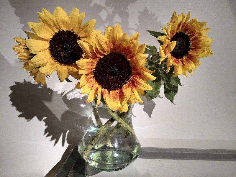 Droid Turbo camera sample
