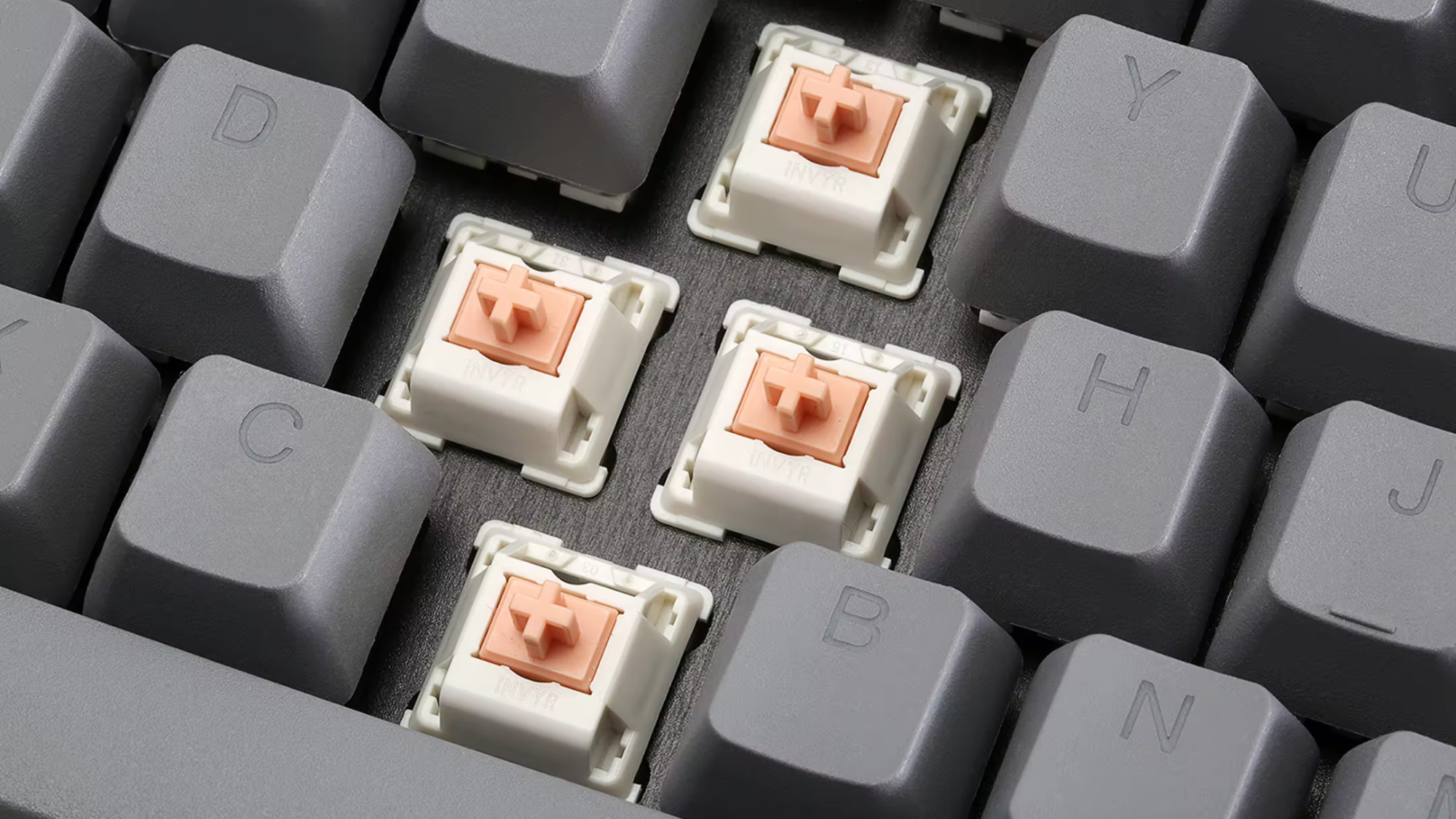 Drop holy panda switches