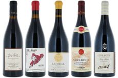 2015 northern Rhône