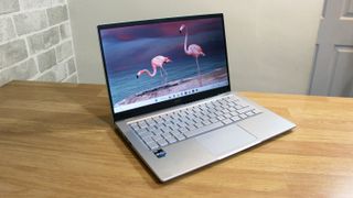 Acer Swift 3 with flamingos as the desktop background.
