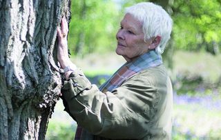 Wednesday 20th December Judi Dench: My Passion for Trees