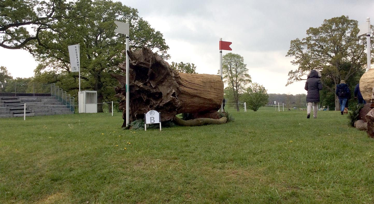image00016