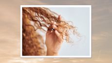 A close up of a woman holding a strand of her red/brown curly hair in her hand/ in a cream and purple sunset-style template