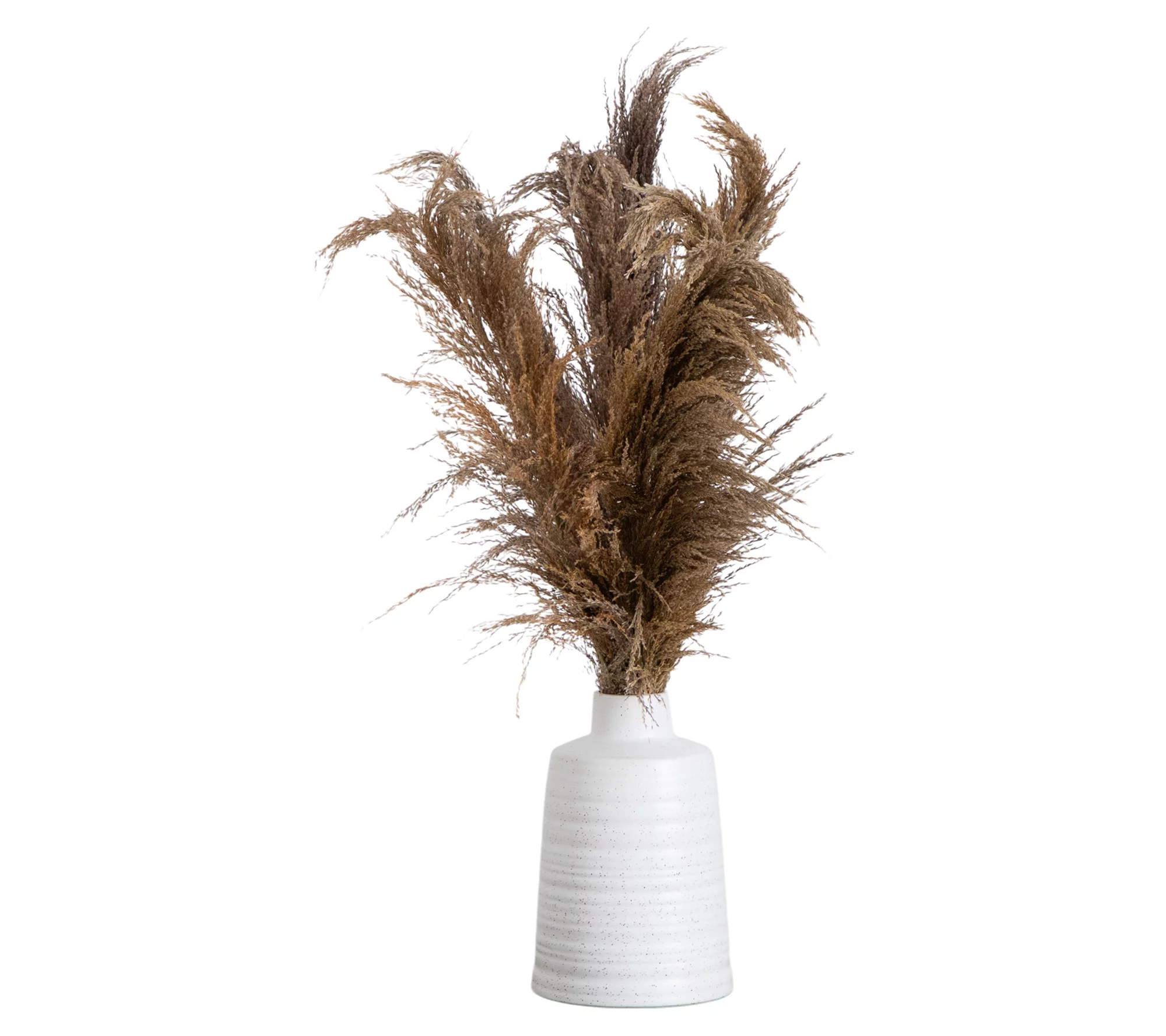 Nearly Natural 30&quot; Dried Natural Pampas in Ceramic Vase