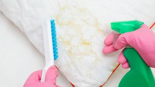 A person wearing pink disposable gloves cleans yellow stains from a white pillow