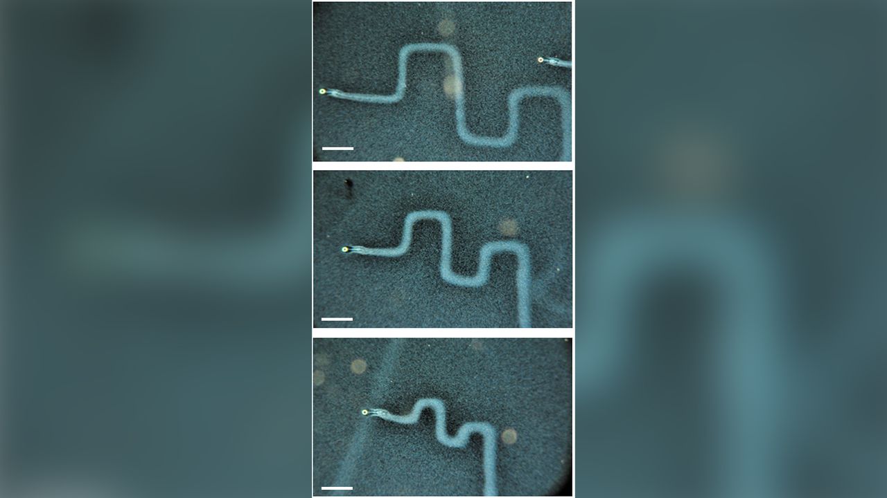 Successive downscaling of pattern size. The length of the horizontals is 500 &micro;m (a), 350 &micro;m (b), and 175 &micro;m (c).