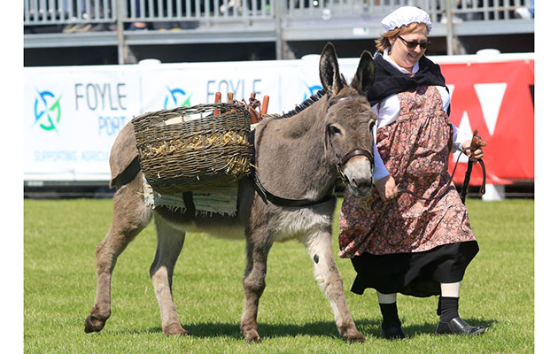 The donkey display provided a spectacle of bygone days at Balmoral