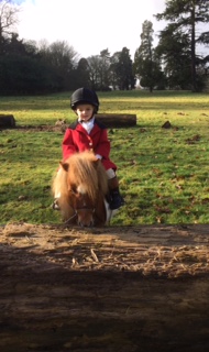 Henley Mills, three, and his pony Radish, regular followers of the Albrighton and Woodland