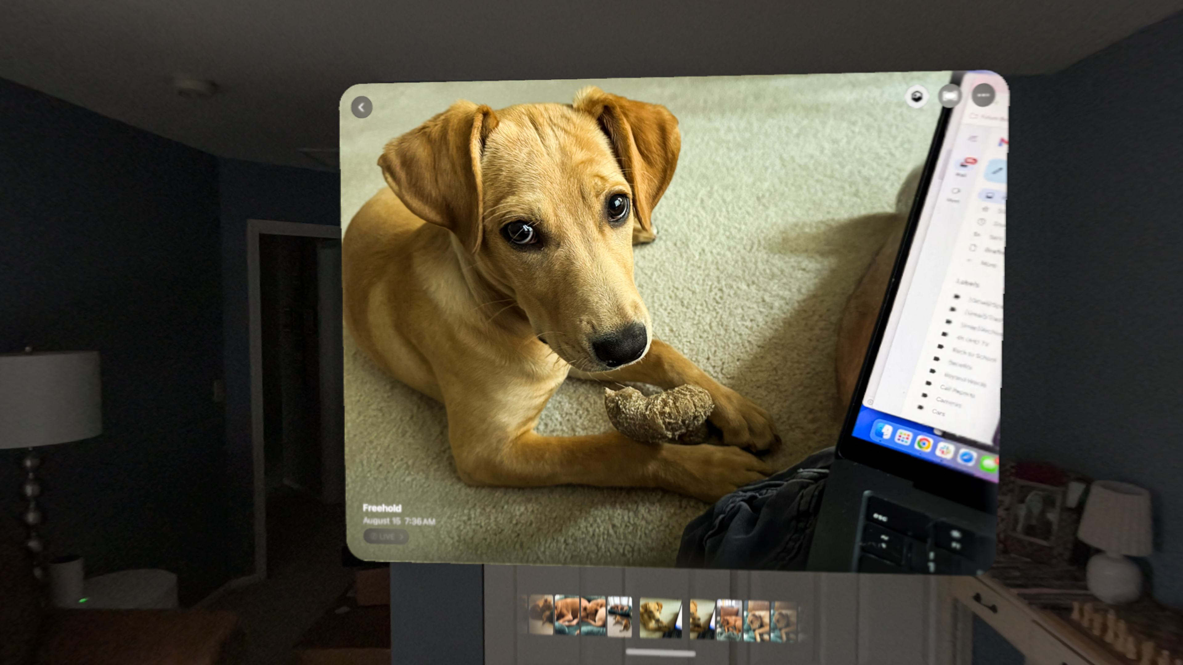 Apple Vision Pro M5