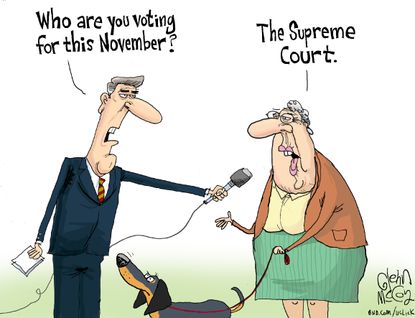 Political cartoon U.S. Voter for the supreme court election 2016