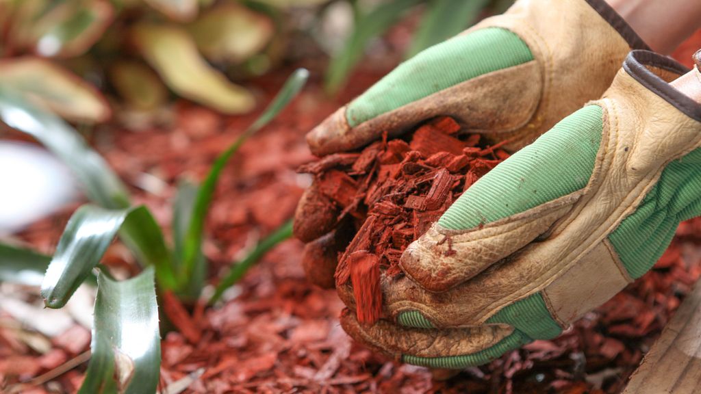 Here's when you should replace mulch — and why it's essential Tom's Guide