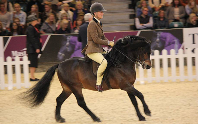 Bam doing his show