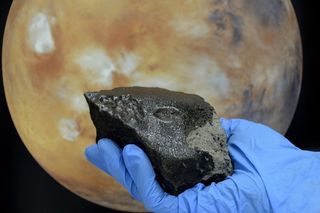 One of the Largest Tissint Meteorites