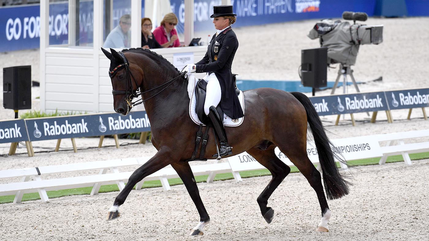 Showtime-FRH_EurosRot_333863582_595092422.jpg