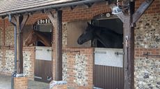Holmer-Ridings-Savills-4.jpg