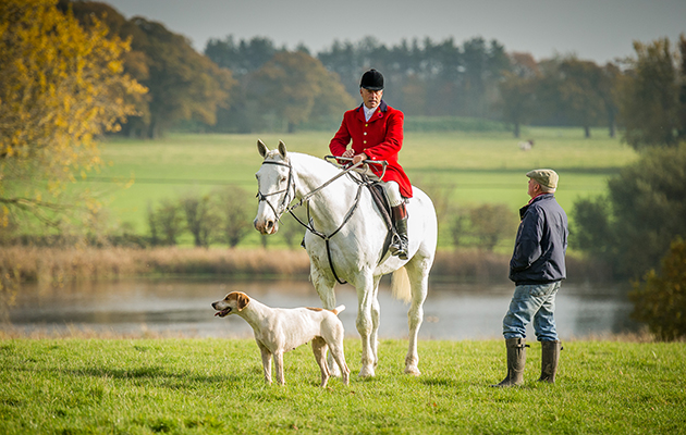 Horse &amp;amp; Hound: Lee Rodway's smart grey hunter keeps an eye on a Crawley and Horsham hound within the stunning grounds of Knepp Castle