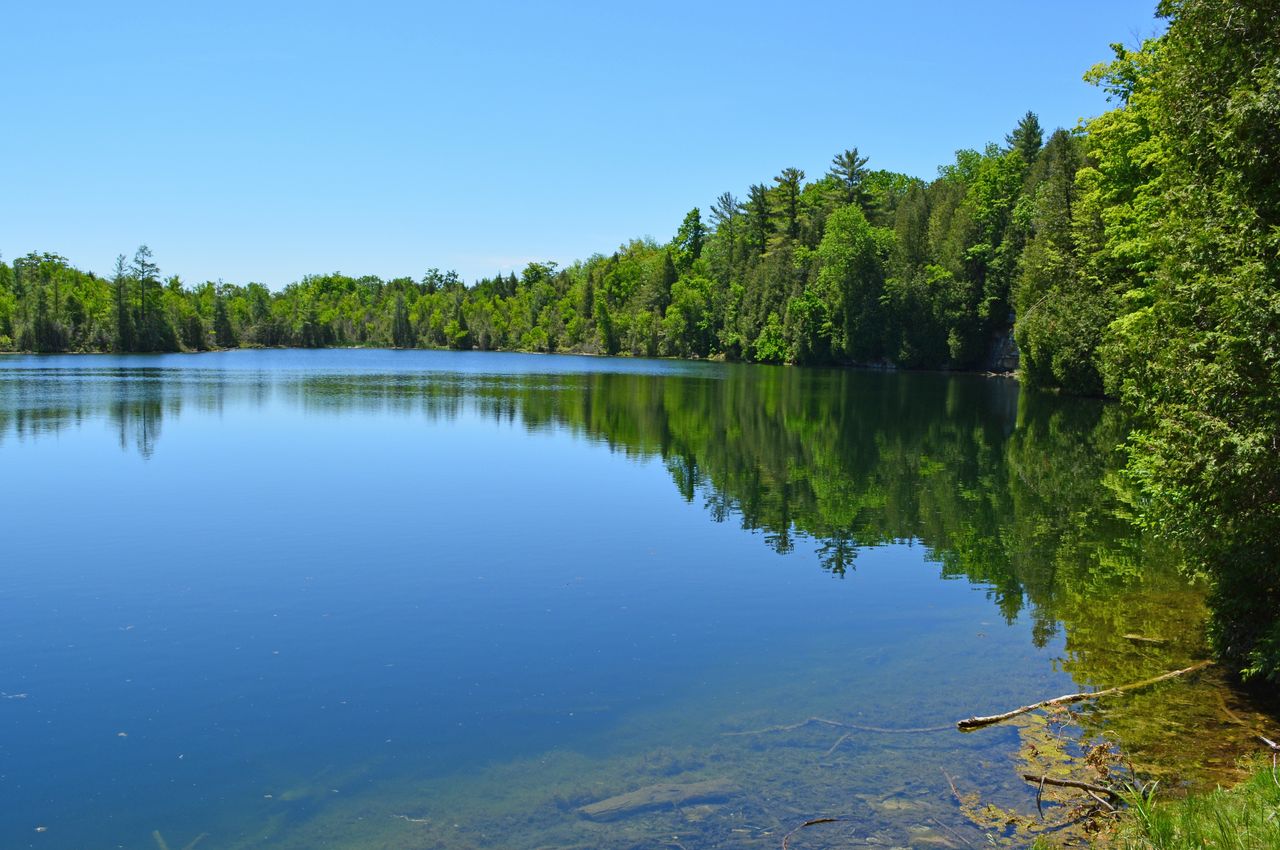 A view of Crawford Lake