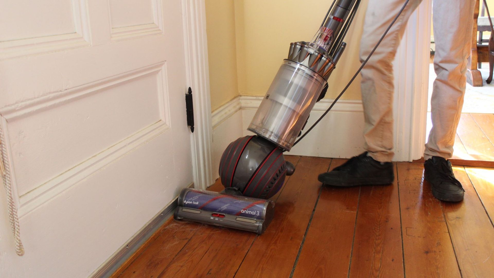 Dyson Ball Animal 3 review