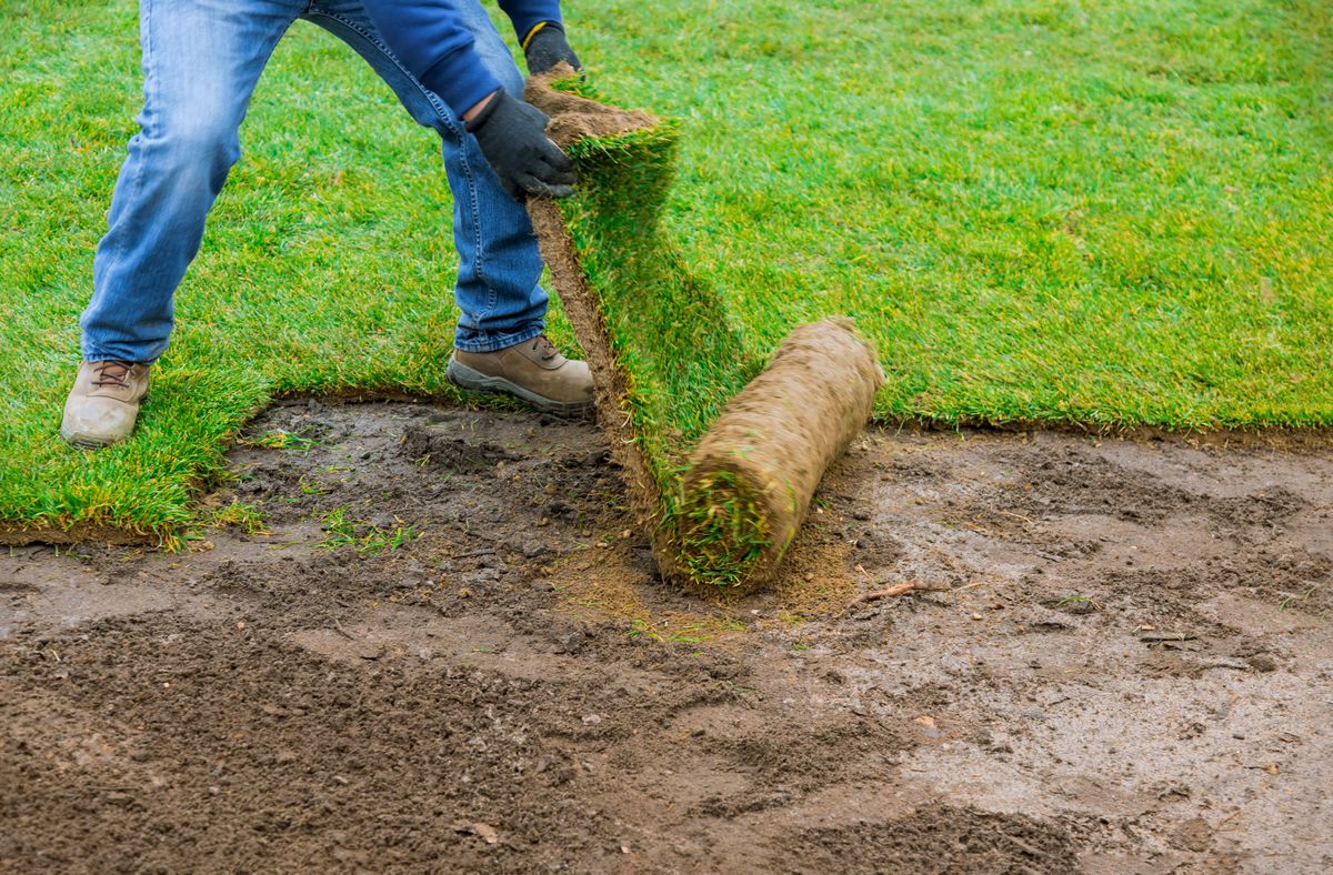 What is the best time to lay turf — plus, can you lay it all year around? Homebuilding