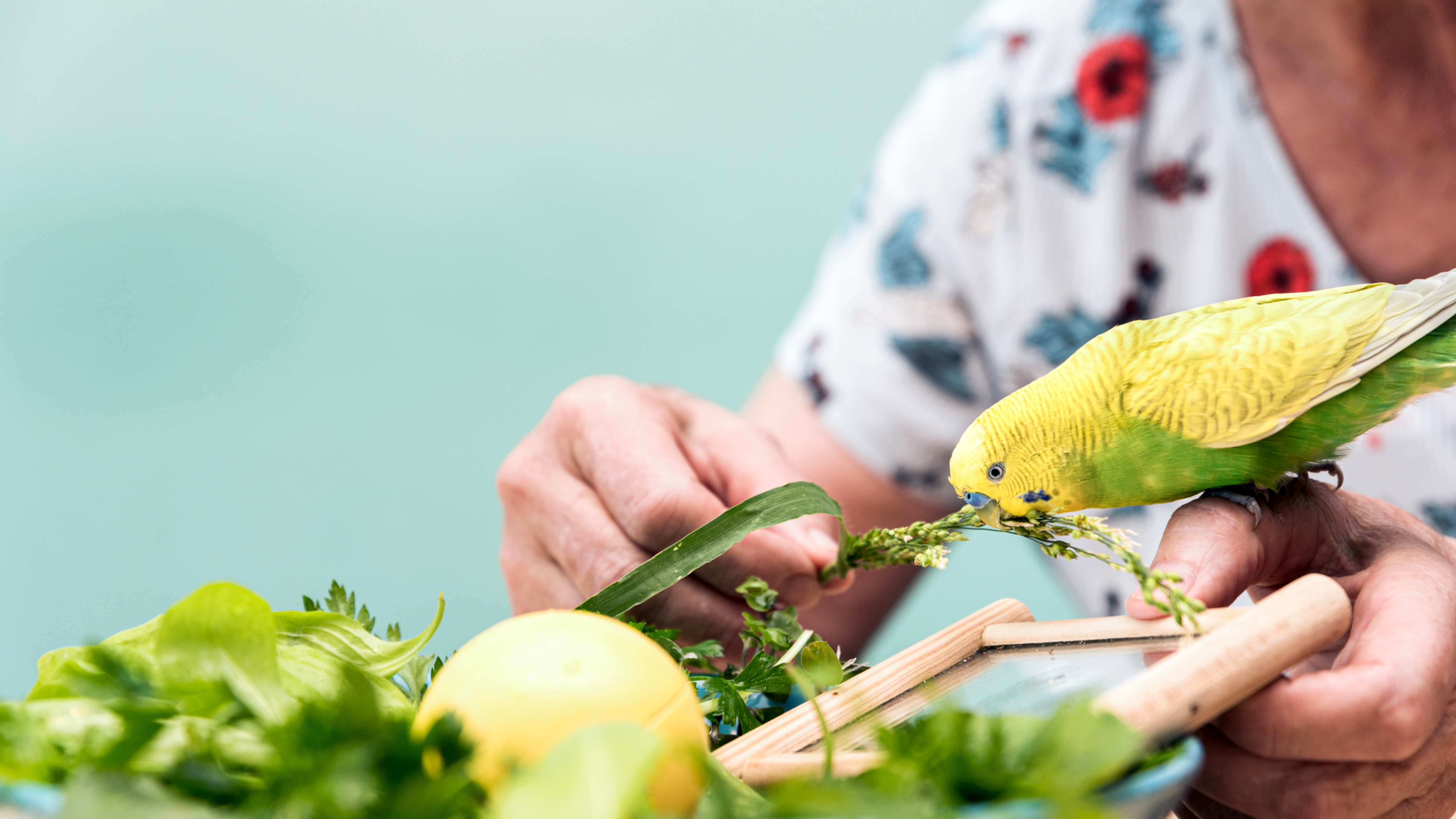 Woman feeding bird