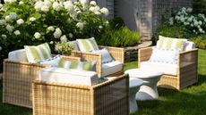 hamptons home lawn area with large white hydrangea bushes with wicker arm chair patio furniture with white and green striped upholstery