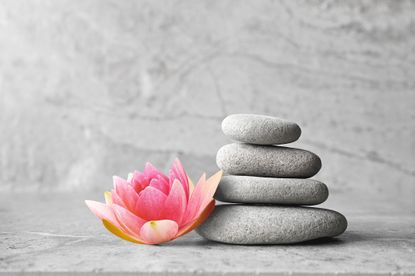 Beautiful pink lotus flower and stones balance, concept of wellness spa treatments for the beauty of mind and body, massage, zen stone.