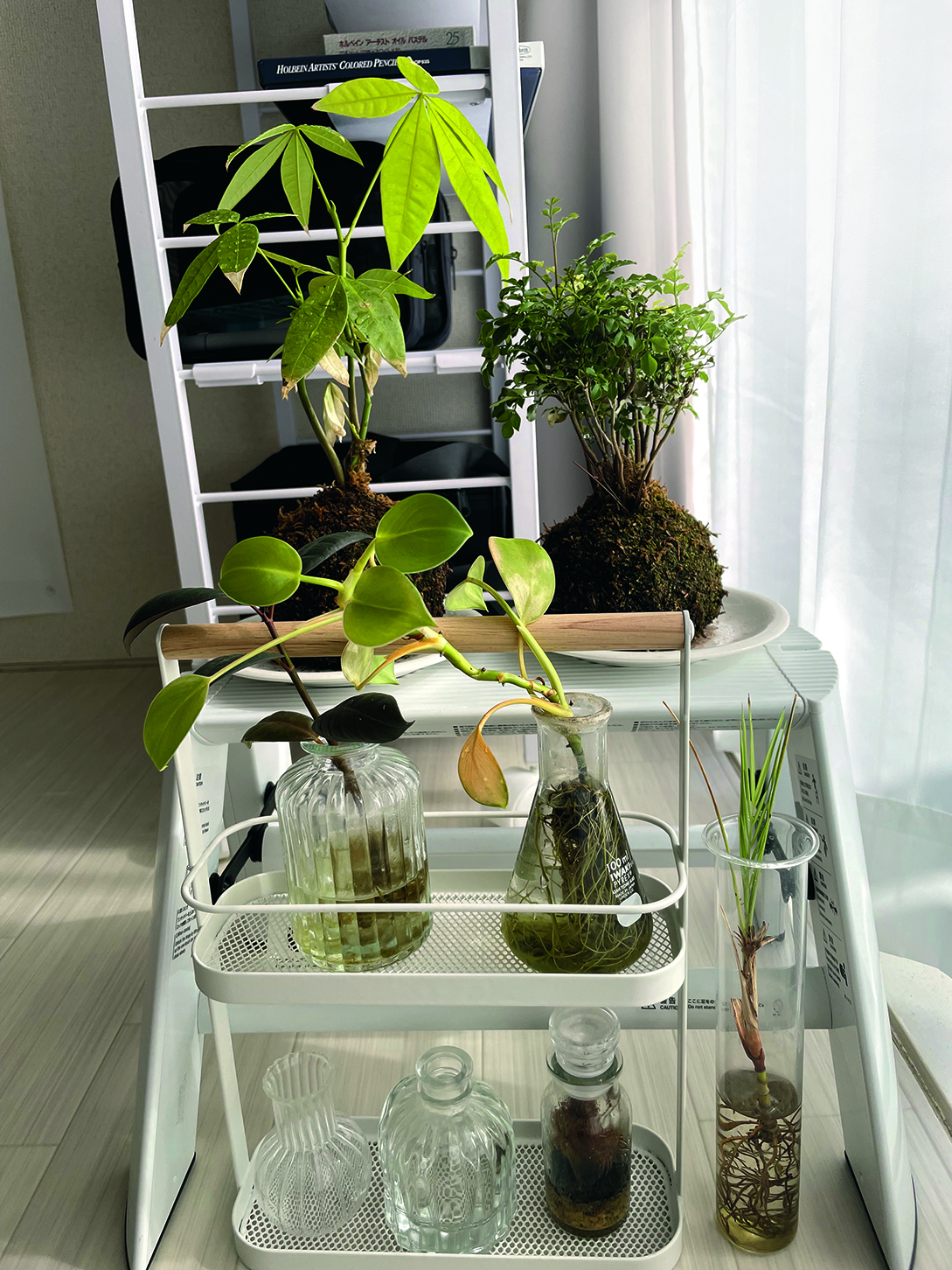 Shinn Uchida's art studio