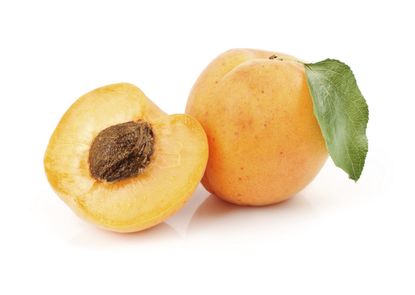 Apricot Cut Open Showing Brown Seed