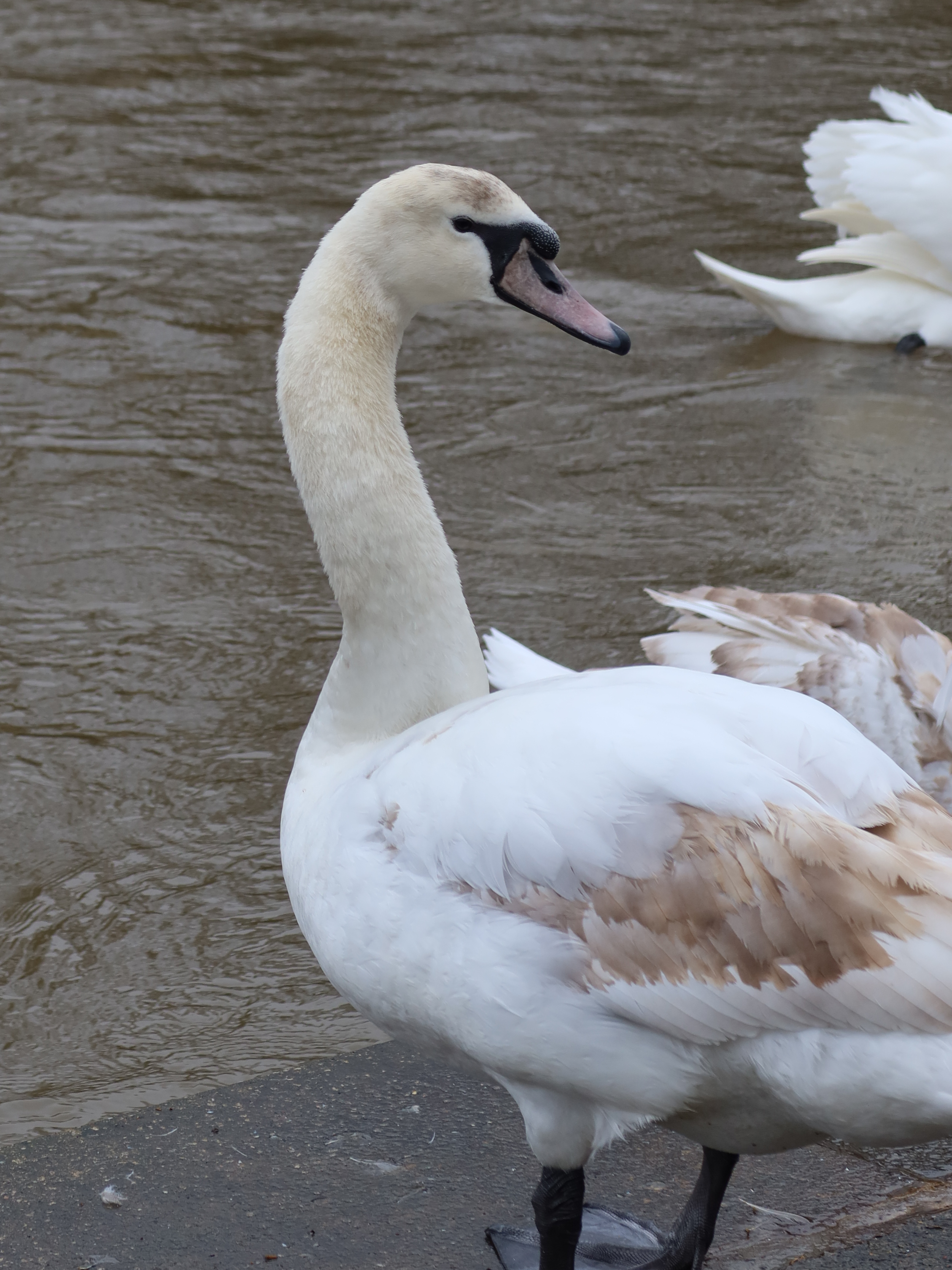 A photo taken on a Canon PowerShot G7 X Mark III compact camera