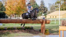 British rider Tom McEwen lies in second overnight with JL Dublin following the Pau Horse Trials cross-country