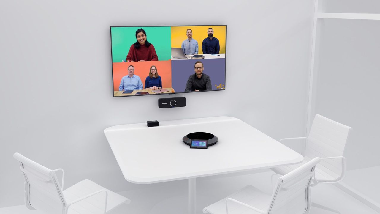 Lifesize&nbsp;Icon 300