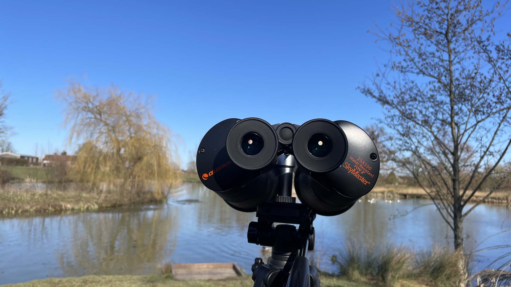 Celestron SkyMaster 25x100
