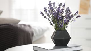 Cut lavender in a grey vase in a living room