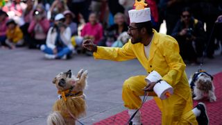 A man and his dog