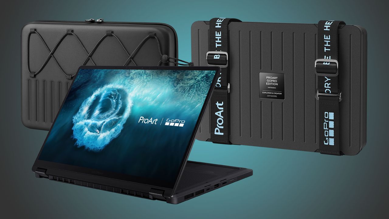 The Asus ProArt GoPro Edition PX13