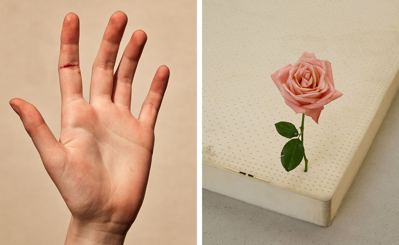 Paper and One Perfect Rose by Casper Sejersen