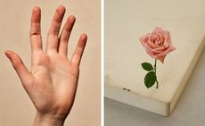 Paper and One Perfect Rose by Casper Sejersen