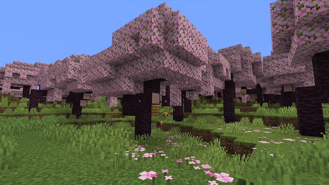 In-game screenshot of the Cherry Blossom biome in Minecraft 1.20.